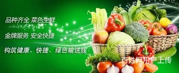 生态蔬菜配送 - 图片 2