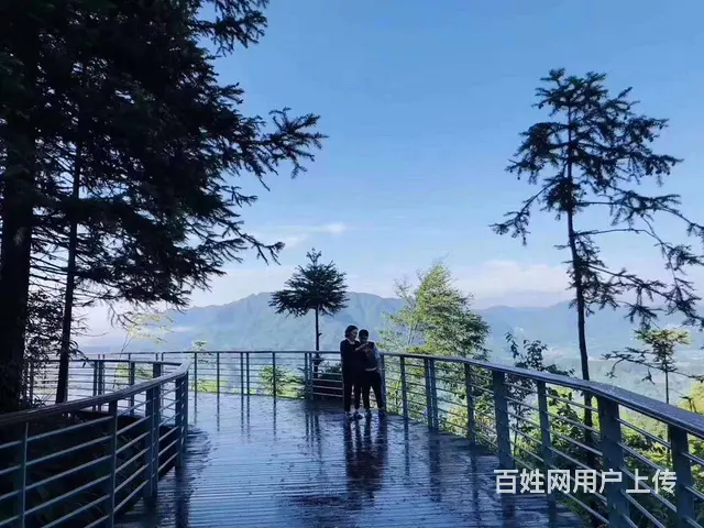 避暑圣地---金兰凤凰国际 - 图片 4