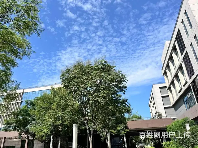 中电光谷(洛阳)数字经济产业园墅级厂房等你入驻 - 图片 2