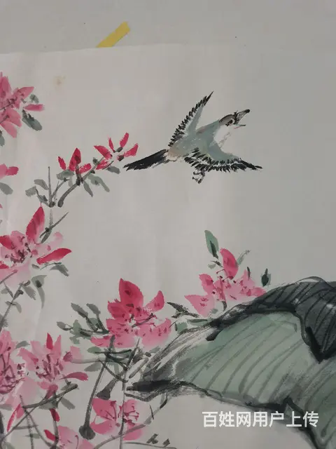 六尺纸花鸟画手绘，孔雀 - 图片 3