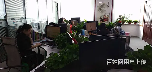 沈阳易君宝电商招商加盟诚邀各界大佬 - 图片 10
