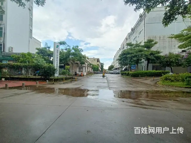 （51旺铺推荐）海垦路263平铺面出租 - 图片 8
