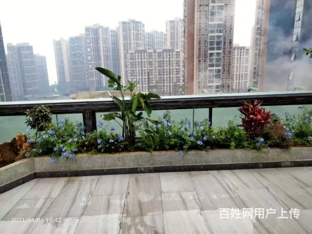 家庭庭院花园设计施工,养护 - 图片 1