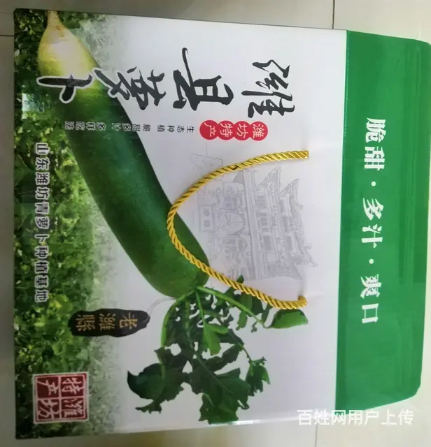 潍坊夏庄萝卜批发零售 - 图片 3