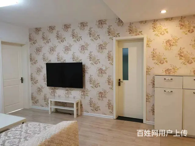 中环星座，南向，精装家电家具齐全，房东直售 - 图片 9