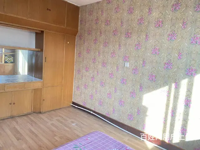 近中街大悦城，东中街地铁口，吉隆家园 800元/月押一付一 - 图片 4