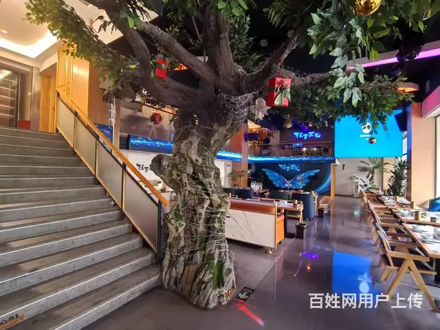 青庭.音乐烧烤串吧！经发大道沿街好位置音乐烤吧店铺转让 - 图片 8