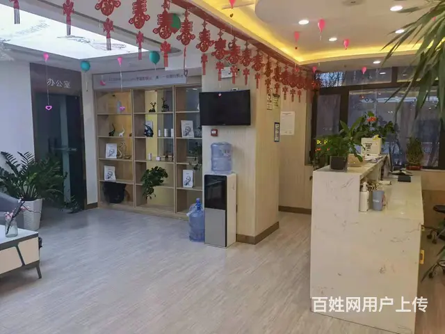 7569(七P）个人城东夏都大街十字夏都家园南区临街旺铺转让 - 图片 2