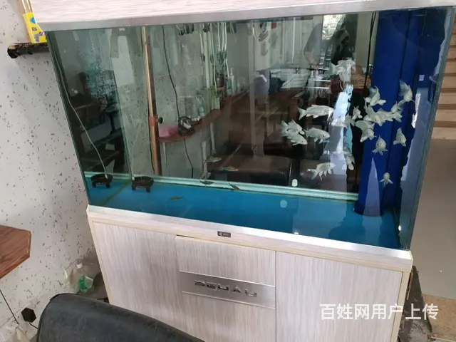 出售底滤鱼缸 - 图片 3