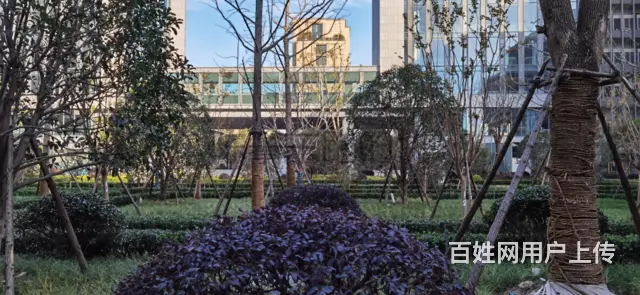 西湖区三深国际中心写字楼出租，西溪银泰城旁，双龙街与崇仁路口 - 图片 3
