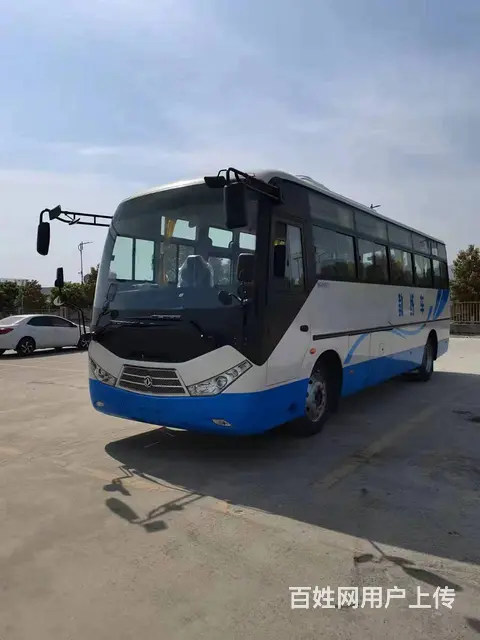 B1、Ａ１教练车客车价格，６米、９米客车教练车销售 - 图片 2