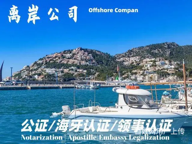 迪拜公司类型FZCO、FZE、LLC、BRANCH - 图片
