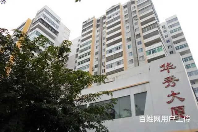滨海大道   华秀大厦3房精装修 - 图片 10