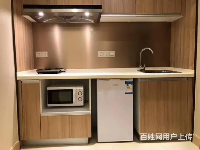 同方国际欧式1房朝南 新塘路闸弄口 绿地华家池 景芳物产国际 - 图片 6