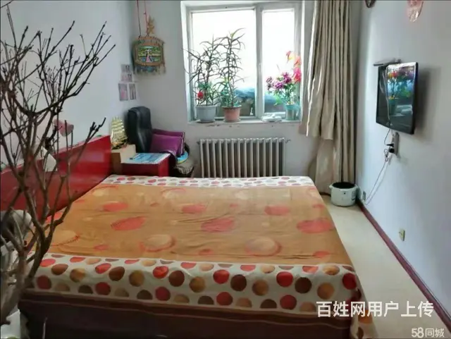 北国明珠院内南检号88平18.8万 - 图片 2