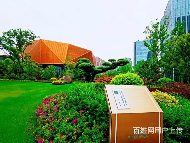 丁桥板块，西子智慧产业园，精装出租，园区配套成熟，环境美丽！ - 图片 3