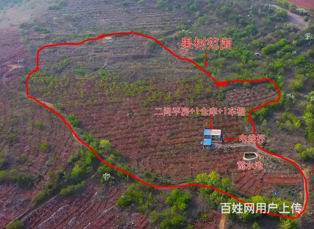 果园出租有水电房 - 图片 4