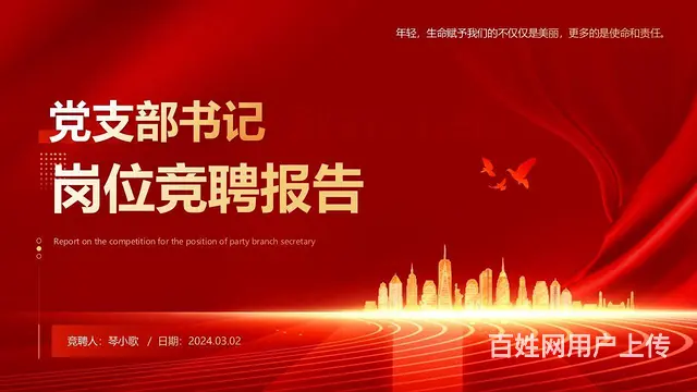 沈阳PPT设计，PPT制作选鸿睿设计工作室 - 图片 7