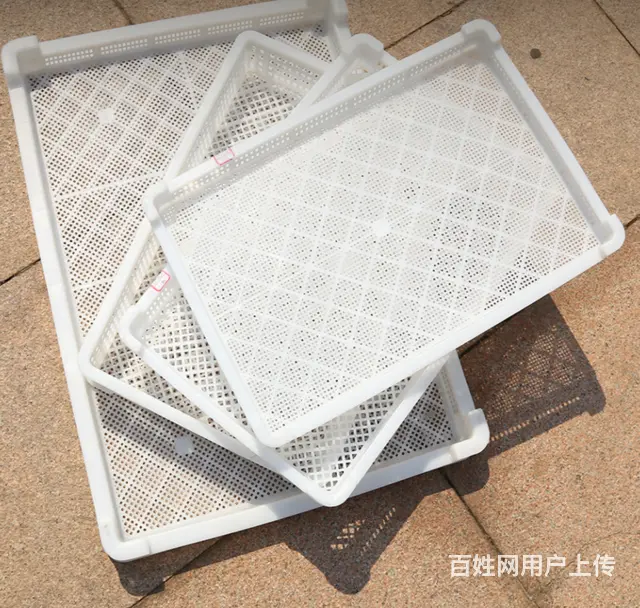 塑料单冻器冷冻盒保温箱塑料箱周转筐鸡蛋筐错位筐斜插 - 图片 7