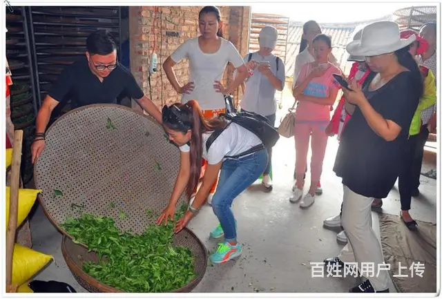 学员问天晟茶艺培训学校：茶艺课程的收获和感想 - 图片 7