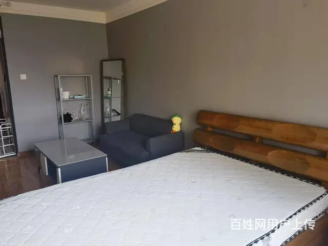 萨尔斯堡 公寓 中等装修 - 图片 2