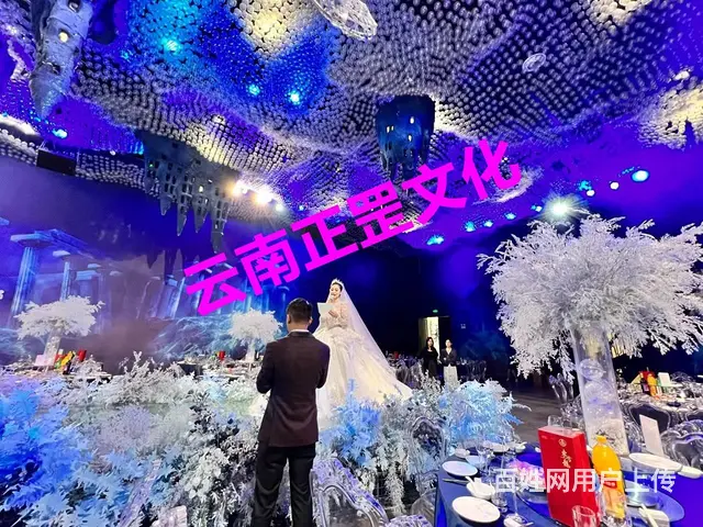 婚礼策划、场地布置、灯光音响、花艺、大屏、演出表演 - 图片 1