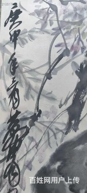 日本回流黄胄猫趣图 原装裱，立轴！精品价高 全长尺 - 图片 7