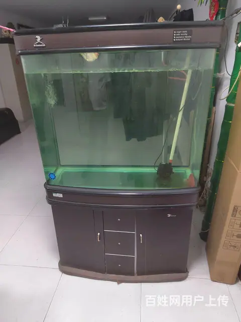 二手水族箱就卖二百 - 图片 2