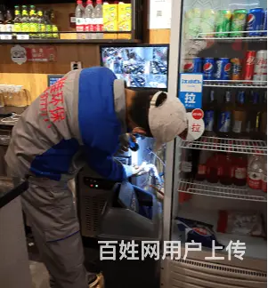 商丘除四害电话丶欢迎上门查看资质 - 图片 2