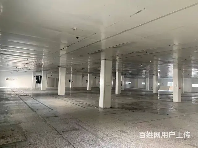 【创美】高区昌鸿工业园4000平厂房办公楼出租，可分租 - 图片 10