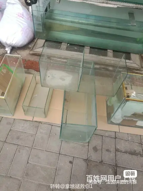 9041653 - 图片 6