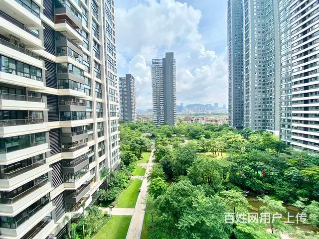 中信红树湾 精装复式4房 家电齐全 欢迎拎包入住 - 图片 12