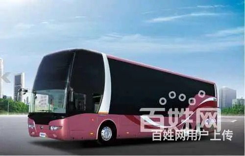 宠物运输/义乌宠物托运（宿州宠物网 - 图片 9