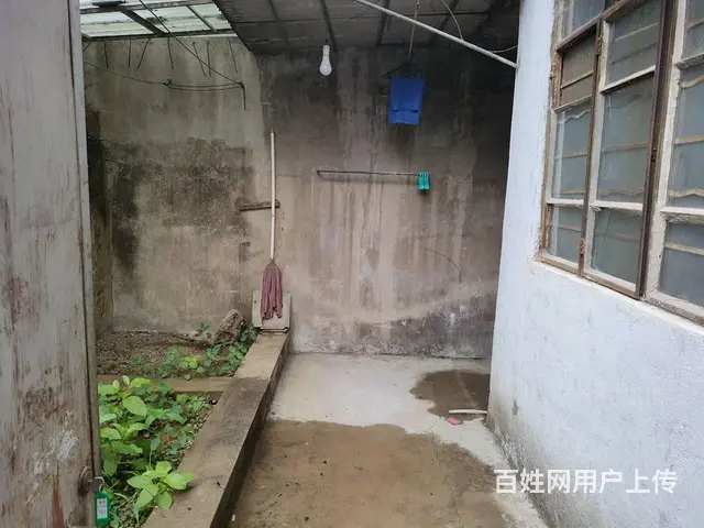 柏园新村 普通住宅 简单装修 有院 - 图片 6