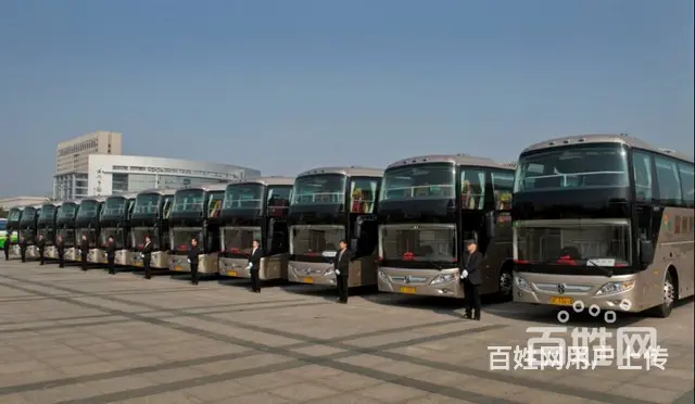 宠物运输/义乌宠物托运（宿州宠物网 - 图片 4