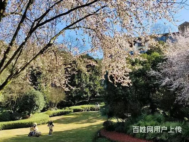 江津东胜避暑房 - 图片 4