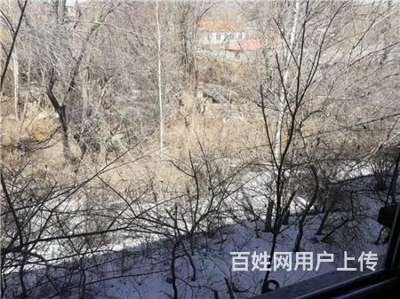 丰满区白山乡阿什三队厂房土地出租出售 - 图片 7