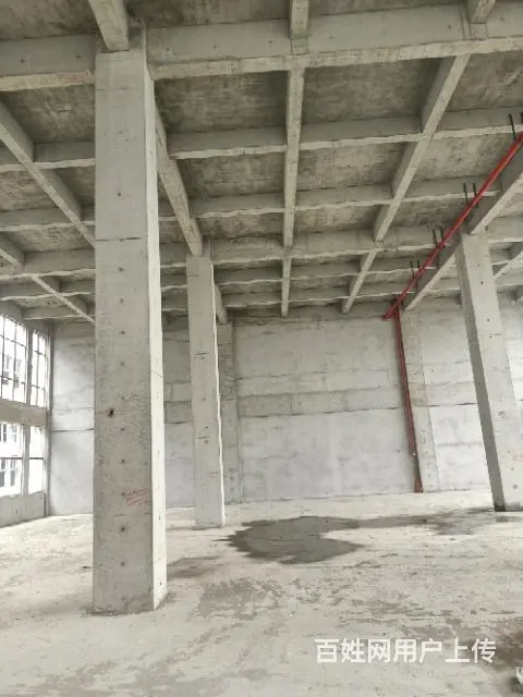 杨山路厂房出售出租 证件齐全 - 图片 6