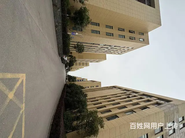 （老板本人）河西高新区金荣同心工业园 厂房/仓库出租6098 - 图片 2