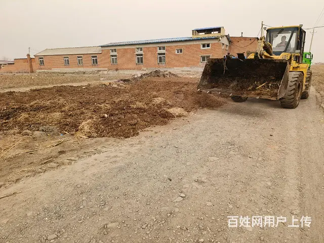 精品铲车低价出售 - 图片 4
