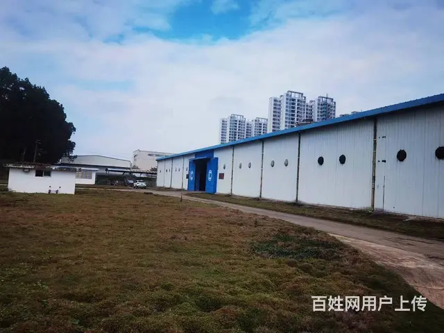 秀英区永桂路期货仓库400-18000平招租9米层高 - 图片 7