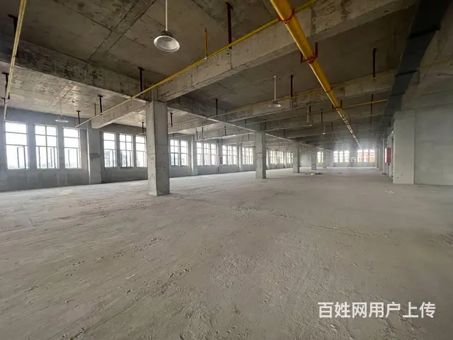 非中介 自有宜昌高新区厂房办公优惠租单层独栋都有 交通便利 - 图片 8