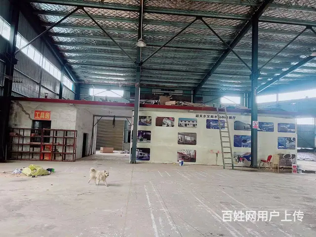 （老板本人）江背镇独门独院钢架厂房低价出租 - 图片 4