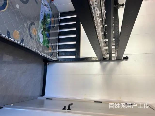 拒绝宠物，非诚勿扰 - 图片 2