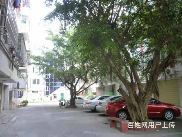 国兴商圈      大天花园3房楼梯房 - 图片 11