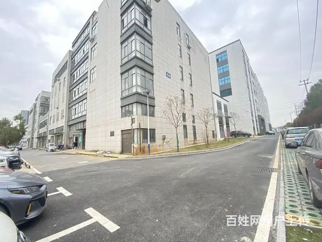 （房东直租）中青路佳海园区460一1500平厂房，可分租 - 图片 3