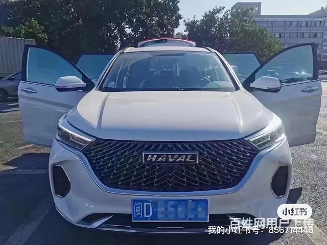 过年租车找天下行 - 图片 2