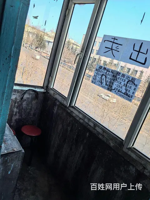 南山新建街 - 图片 10