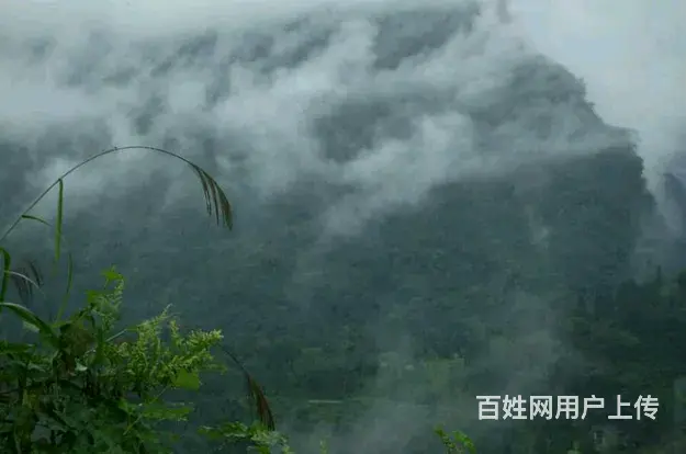 南宝山住宿避暑度假，羌缘红农家乐 - 图片 12