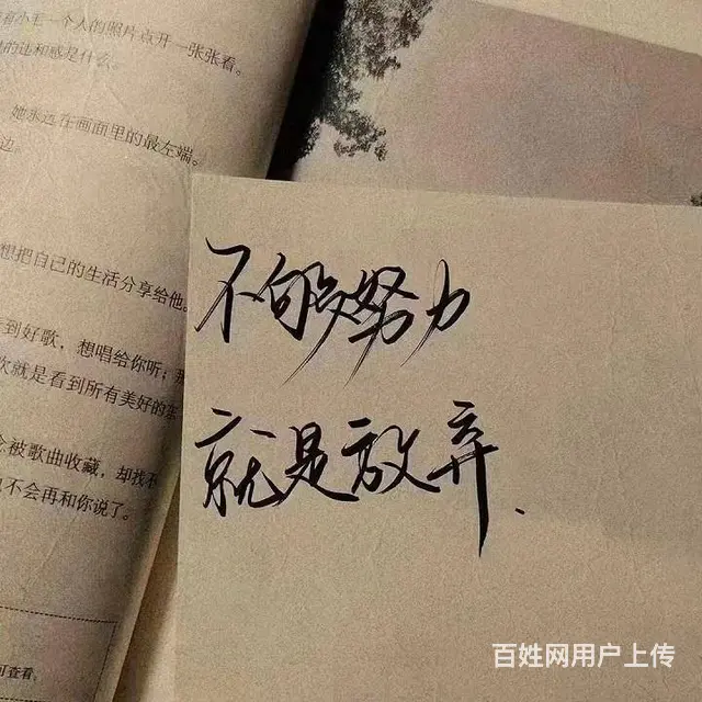 办公软件21世纪扫盲的开始 - 图片